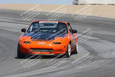 media/Oct-11-2025-Lucky Dog Racing (Sat) [[f5b53147c4]]/2-First Stint/2-Turns 9 and 10/